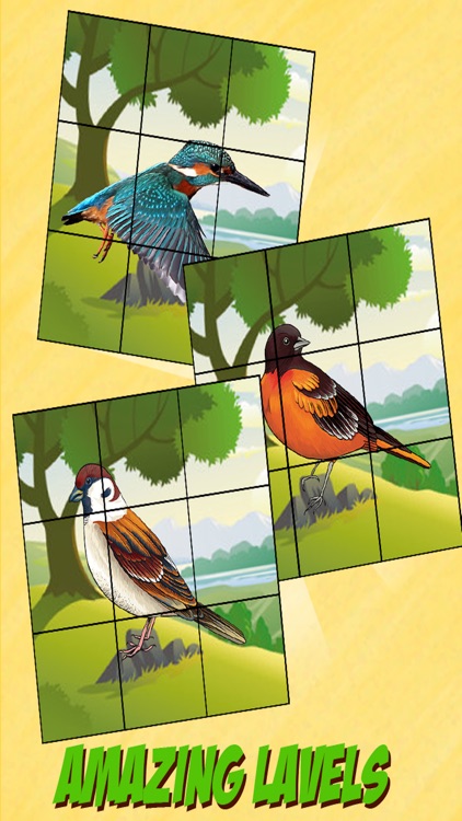 Bird Slide Puzzle Game screenshot-4