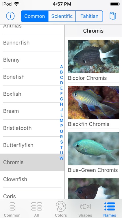 Tetiaroa Fish Guide screenshot-5