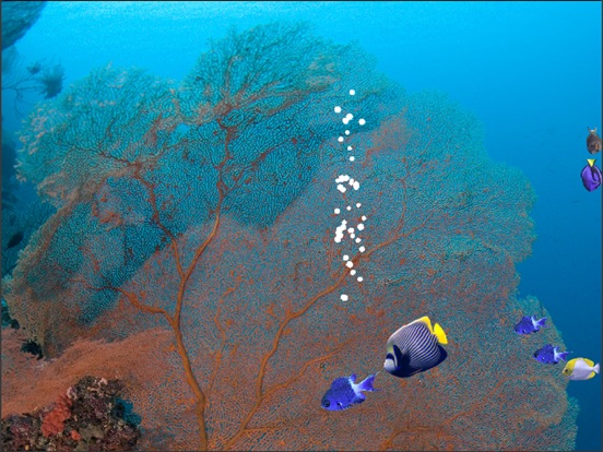 Screenshot #6 pour Fishies