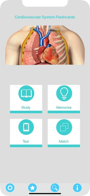 Circulatory System Flashcards(圖1)-速報App