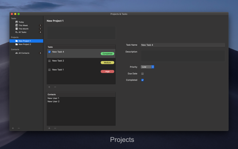 Projects & Tasks screenshot 2