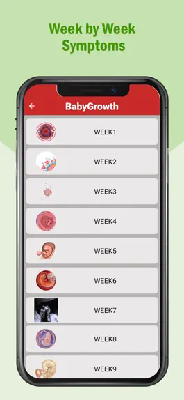 Game screenshot Pregnancy Care tips apk