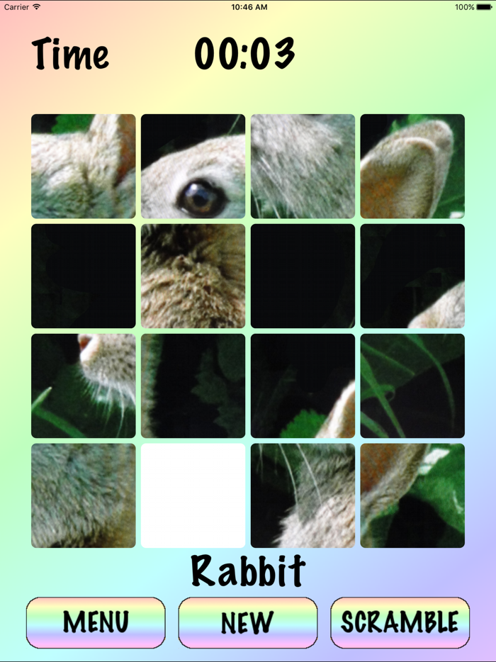 4x4 - Sliding Square Puzzle