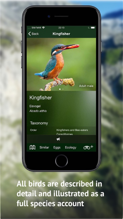 All birds CH - photo guide screenshot-4