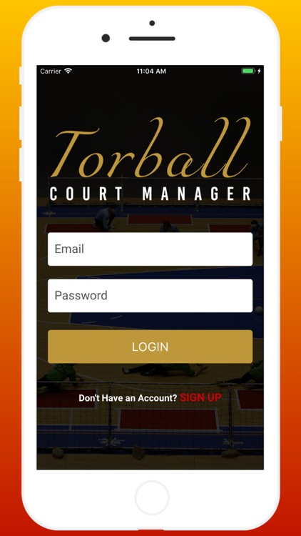 Torball Court Management