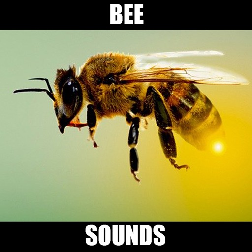 Annoying Bee Sounds! icon