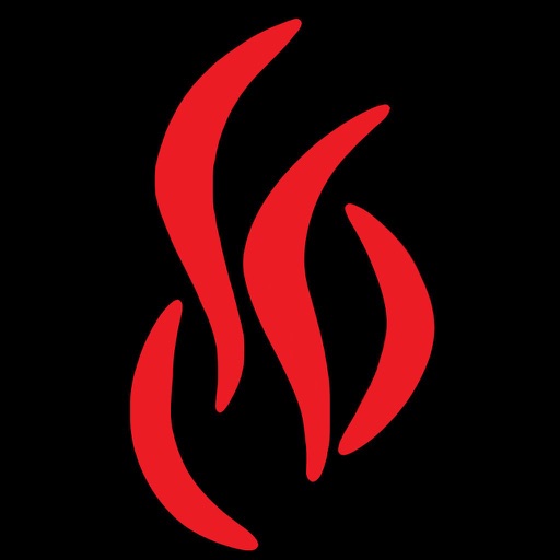 Nordic Fire Stylo Icon