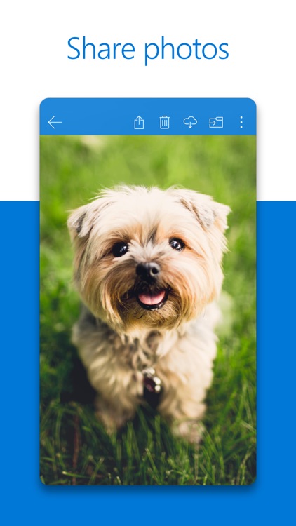 Microsoft OneDrive