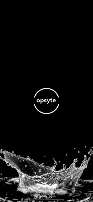 Opsyte