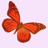 Glittered Butterflies