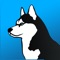 Phone Guardian protects your privacy and personal information on networks you don’t trust