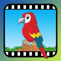 Video Touch: Oiseaux Sauvages pour PC