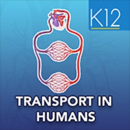 Transport in Humans- Biology