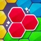 Challenge your brain by solving the amazing Hexa puzzles in 4 different modes: Easy, Medium, Hard and Expert