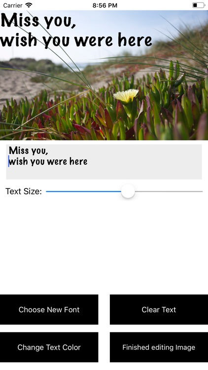 Simple Cards Text Photo Editor