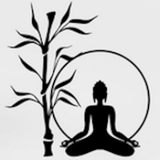 Zen Waves - Guided Meditations iOS App
