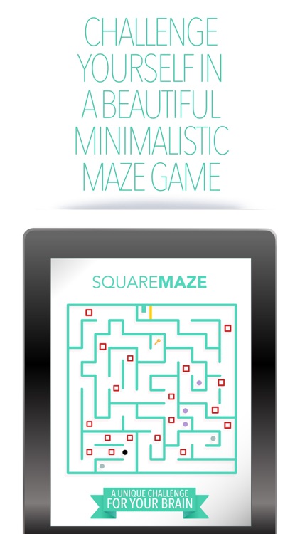 Square Maze : A minimal puzzle