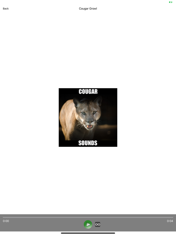 Real Cougar Sounds! screenshot 4