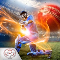 Real Cricket World Cup 2019 sur PC