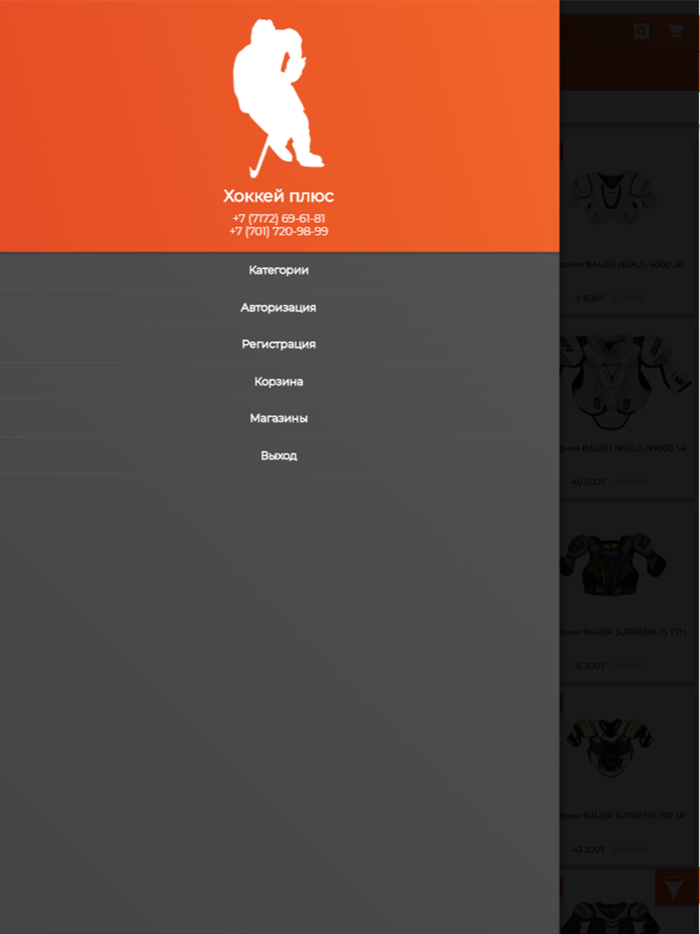 Хоккей плюс