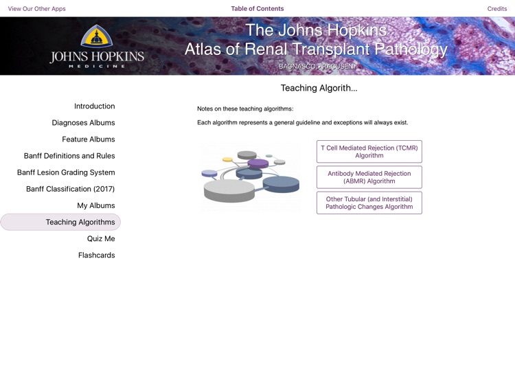 Renal Transplant Pathology screenshot-5