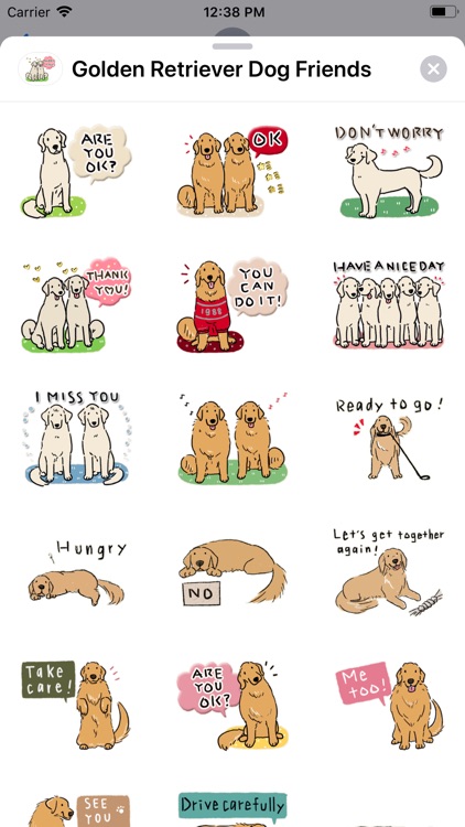 Golden Retriever Dog Friends