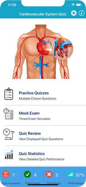 Cardiovascular System Quizzes