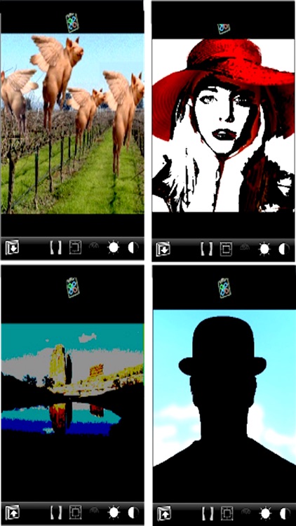 Tap Photo Mask screenshot-3