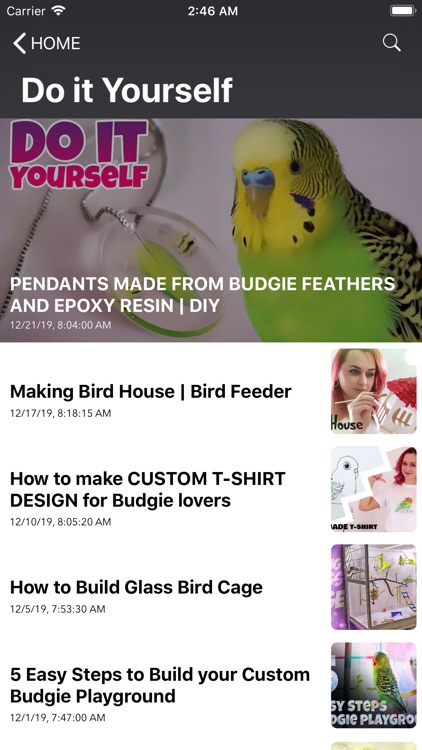 Alen AxP Budgie Community screenshot-4