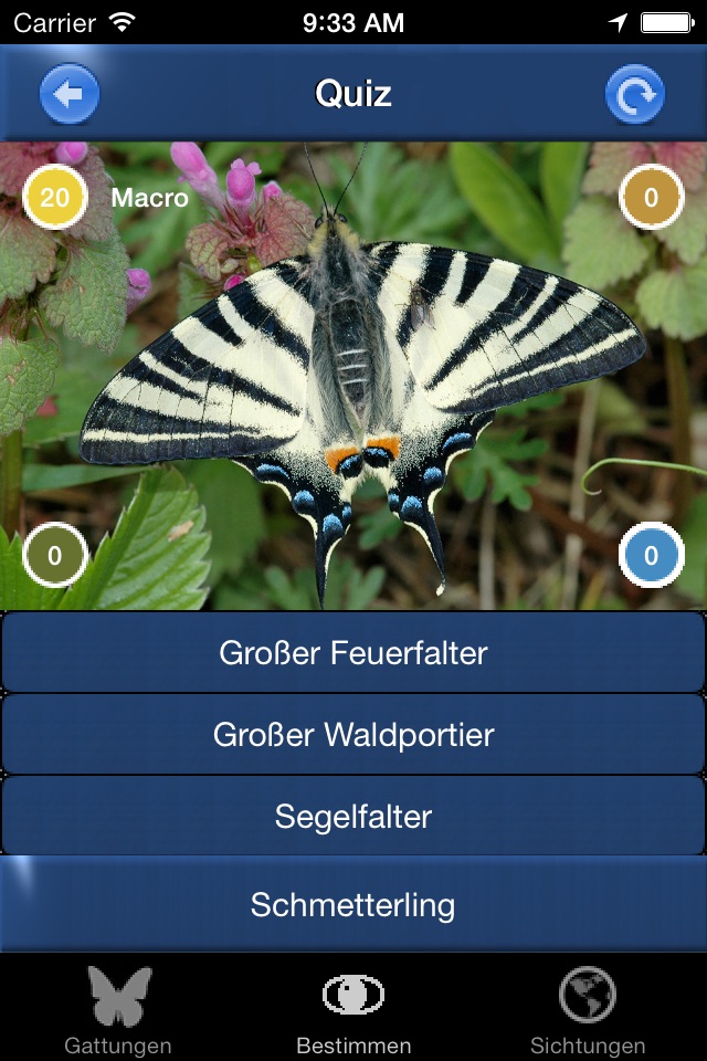 Schmetterling Id - Tagfalter screenshot 4