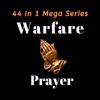 44 in 1 Warfare Prayer Series - iPadアプリ