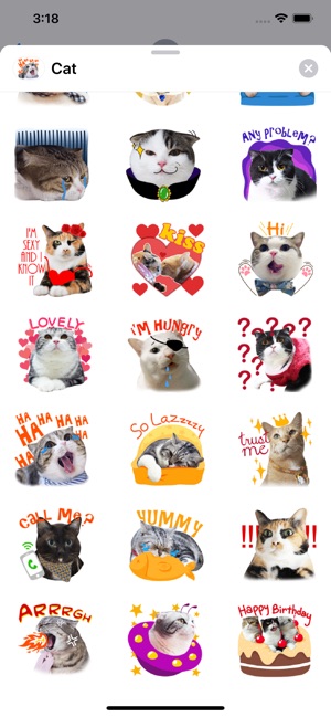 World's Cutest Cat Sticker Emo(圖3)-速報App