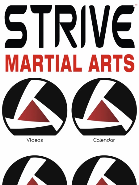 【图】STRIVE MARTIAL ARTS(截图3)