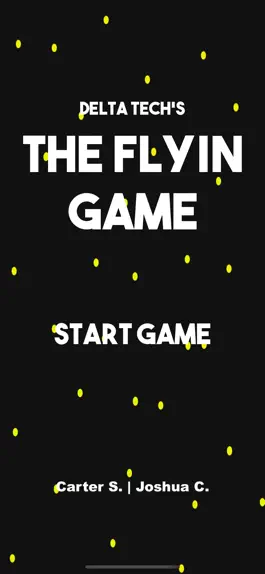 Game screenshot The Flyin Game hack