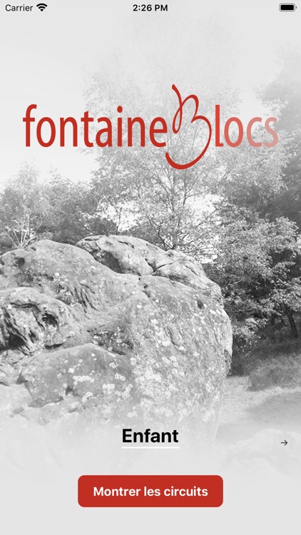 fontaineBlocs