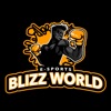 BlizzWorld