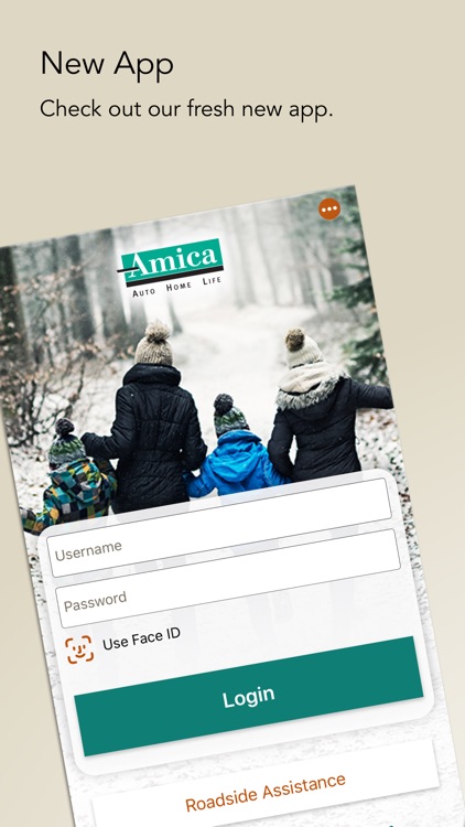Amica