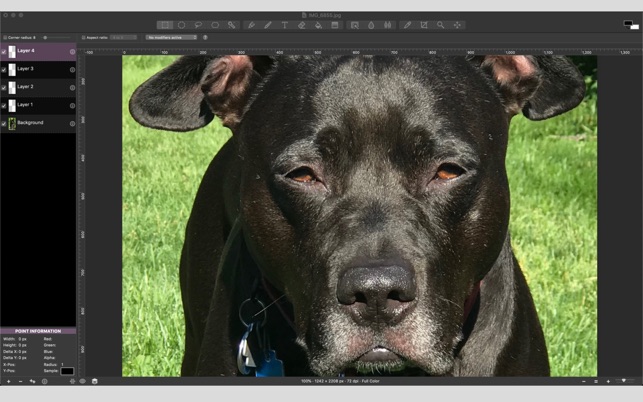 Photo editor 10.7 free