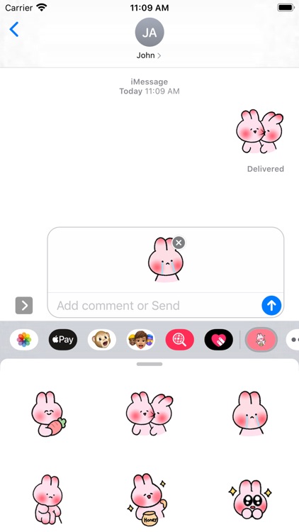 Rabbit Eating Carrot screenshot-5