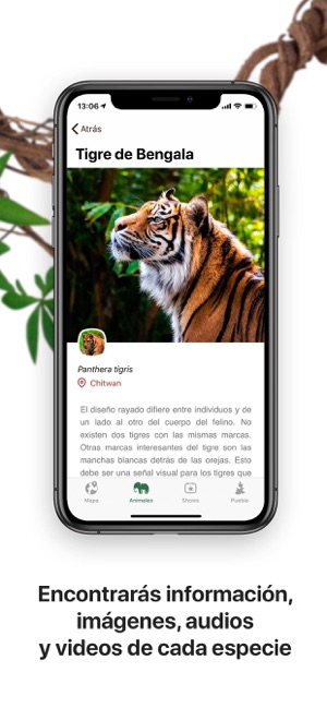 Africam Safari(圖4)-速報App