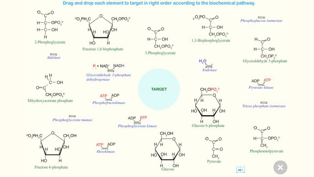 Glycolysis(圖3)-速報App