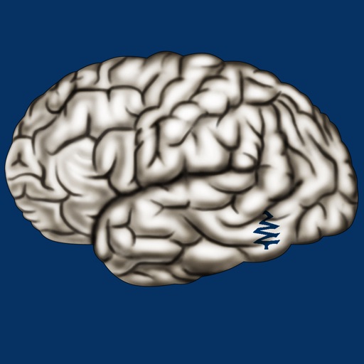 Cerebrum ID