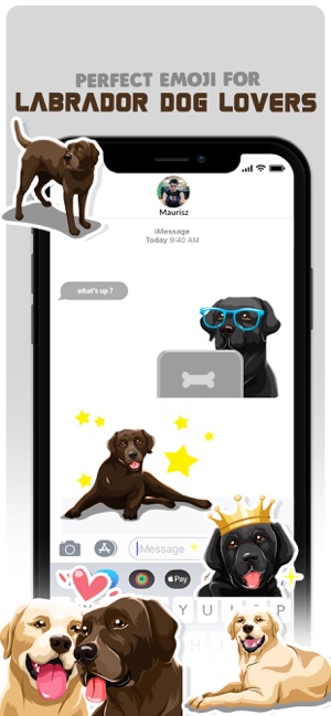 Labrador Retriever Dog Emojis(圖1)-速報App