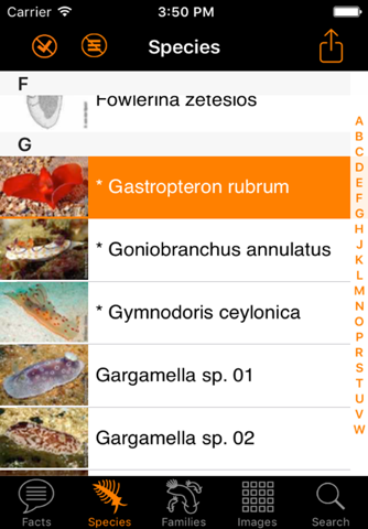 Nudibranch ID E Atlantic Med - náhled
