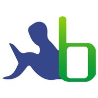Blossom Convent School sur PC