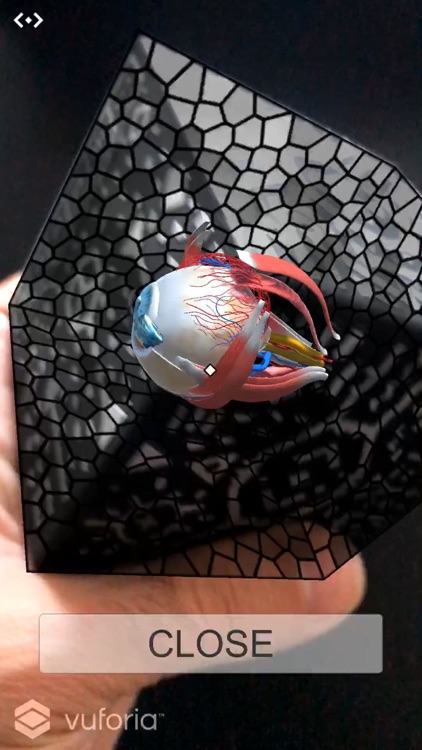 AR Medical screenshot-3