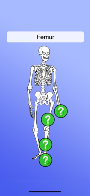 Anatomy Game(圖3)-速報App