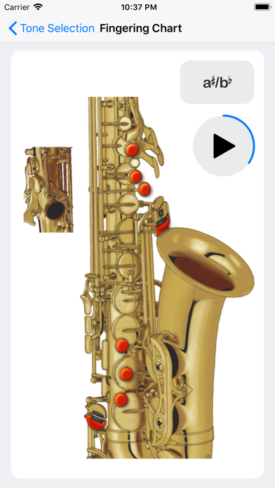 Saxophone - the App screenshot 2