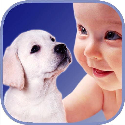 ZOOLA Animals iOS App
