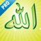 Icon 99 Names of Allah (Pro)